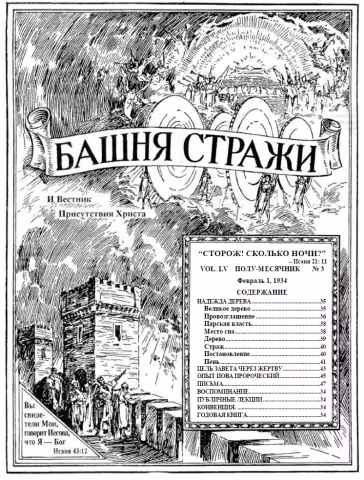 Надежда дерева № 3