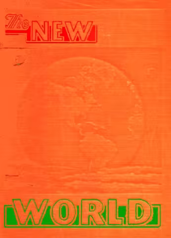 the new world